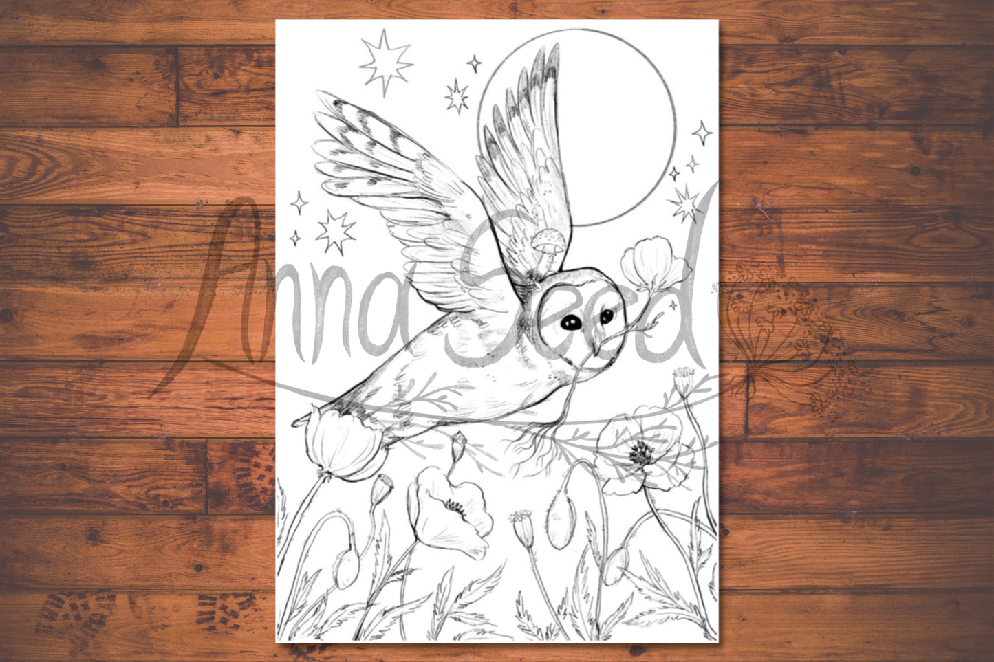 Anna Seed Art | Printable Colouring Page - Barn Owl in Flight (DIGITAL DOWNLOAD)
