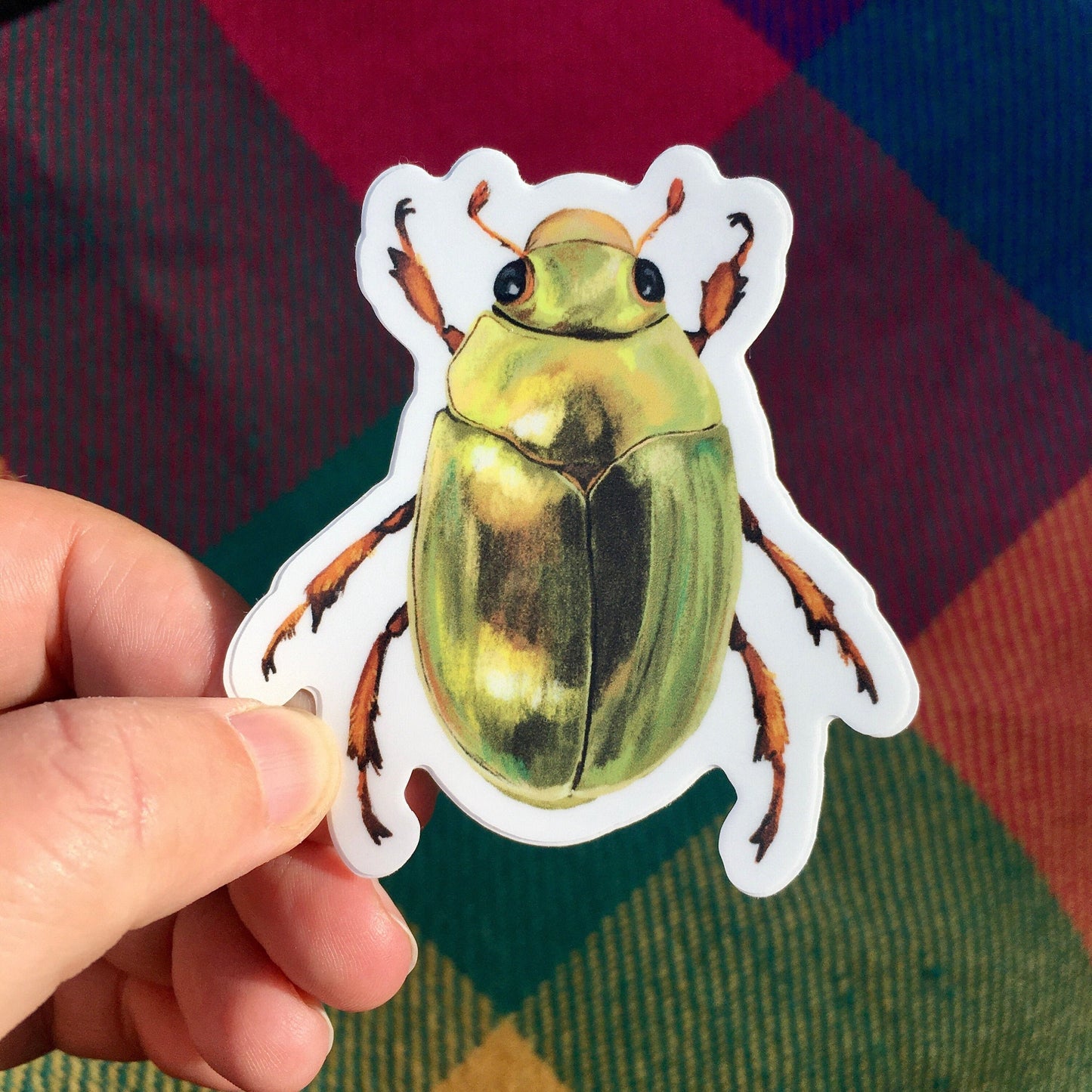 Anna Seed Art | Sticker - Christmas Beetle - Matte waterproof vinyl