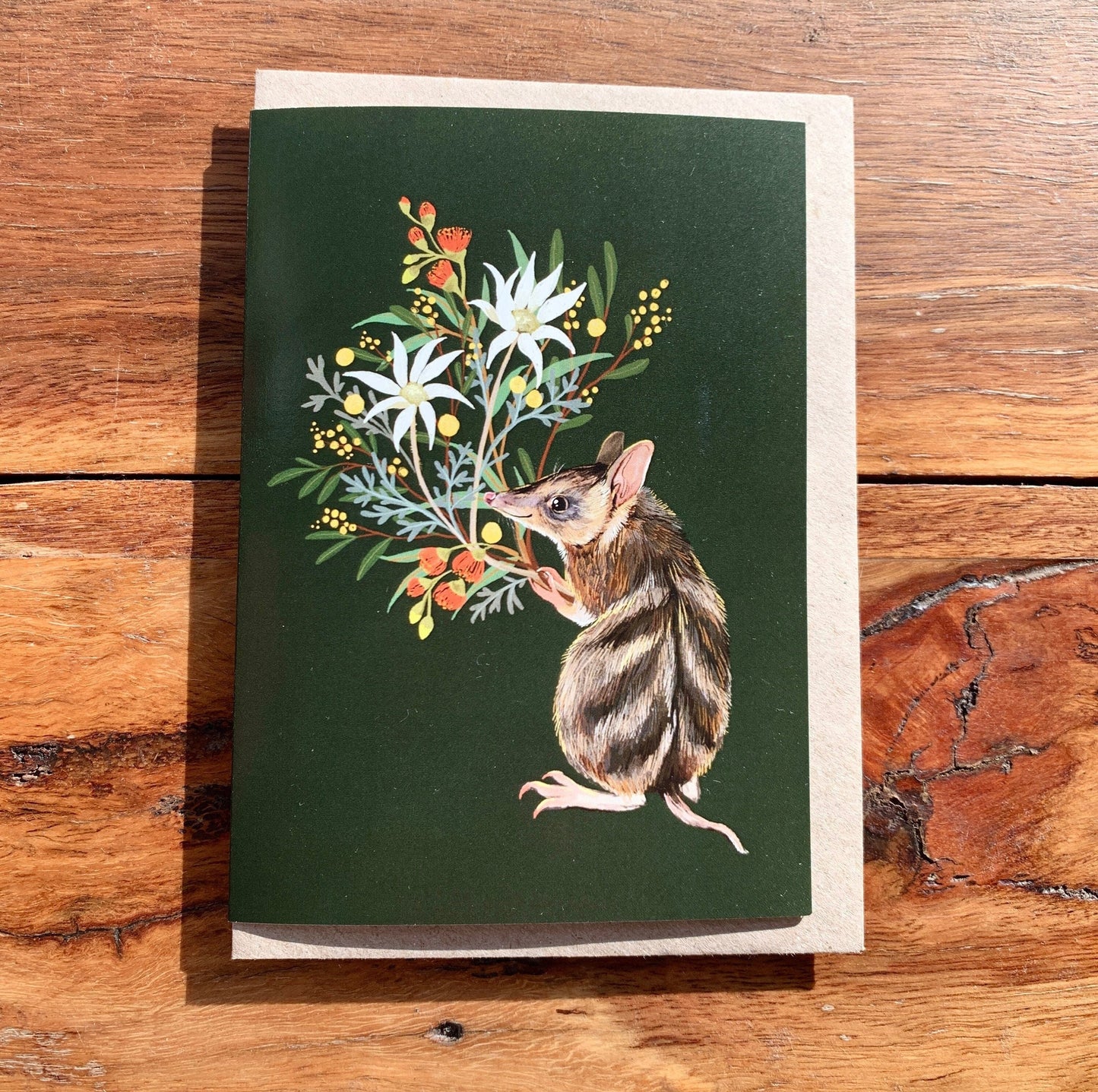 Anna Seed Art | Greeting Card - Bandicoot. Cute illustration