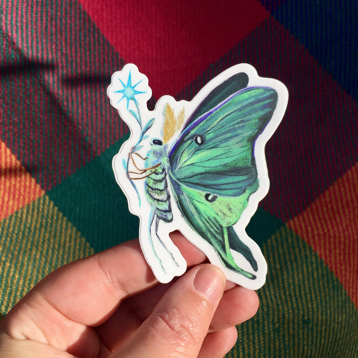Luna Moth sticker held in a hand over a red, green and orange tartan blanket in warm afternoon sunlight